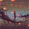 Pribe - Falling Into the Darkness (feat. Jodie Poye) - Single